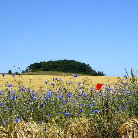 Hafennahe Mit Balkon Und Meerblick - Hafenhaeuser Wiek 07 *