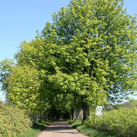 Hafenhaeuser Wiek Ferienwohnung 07 Apartament